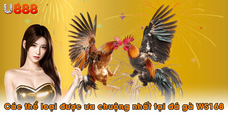 Các thể loại được ưa chuộng nhất tại đá gà WS168