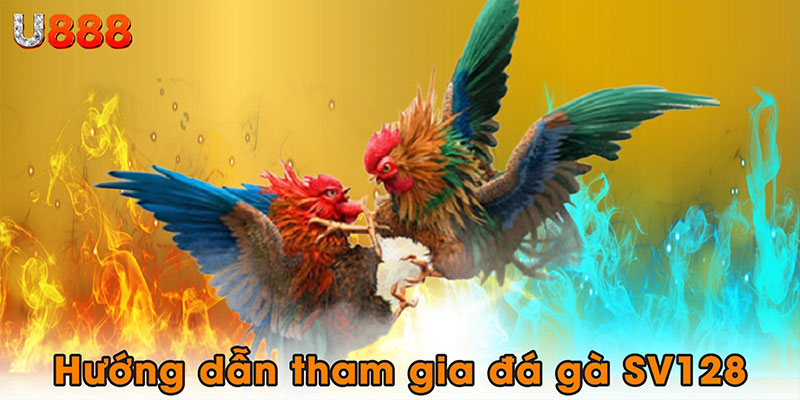 Hướng dẫn tham gia đá gà SV128