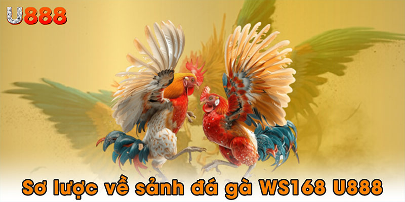 Sơ lược về sảnh đá gà WS168 U888