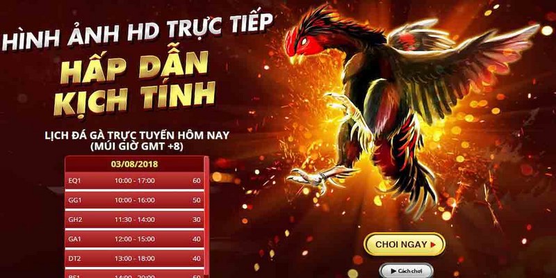 🐓 Đá Gà Trực Tiếp U888 – Trải Nghiệm Giải Trí Đỉnh Cao